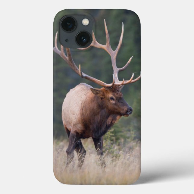 Rocky Mountain Elk Case-Mate iPhone Case (Back)
