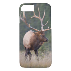 Rocky Mountain Elk iPhone 8/7 Case