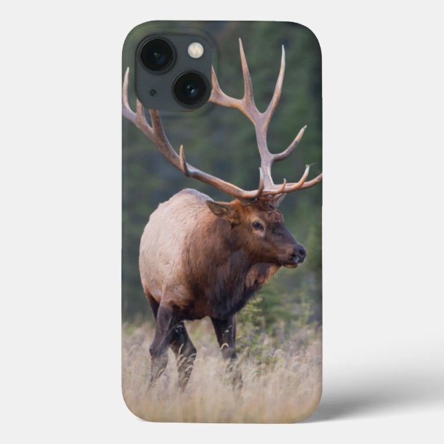 Rocky Mountain Elk Case-Mate iPhone Case (Back)
