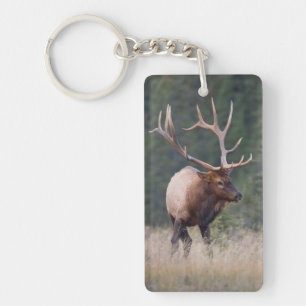 Rocky Mountain Elk Keychain