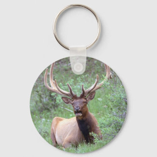 Rocky Mountain Elk Keychain
