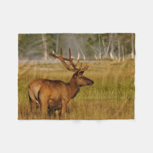 Rocky Mountain Elk   Yellowstone National Park Fleece Blanket
