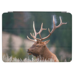 Rocky Mountain Elk Yellowstone National Park iPad Air Cover