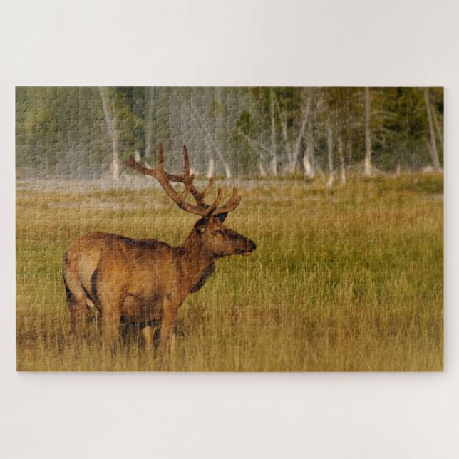 Rocky Mountain Elk | Yellowstone National Park Jigsaw Puzzle (Horizontal)