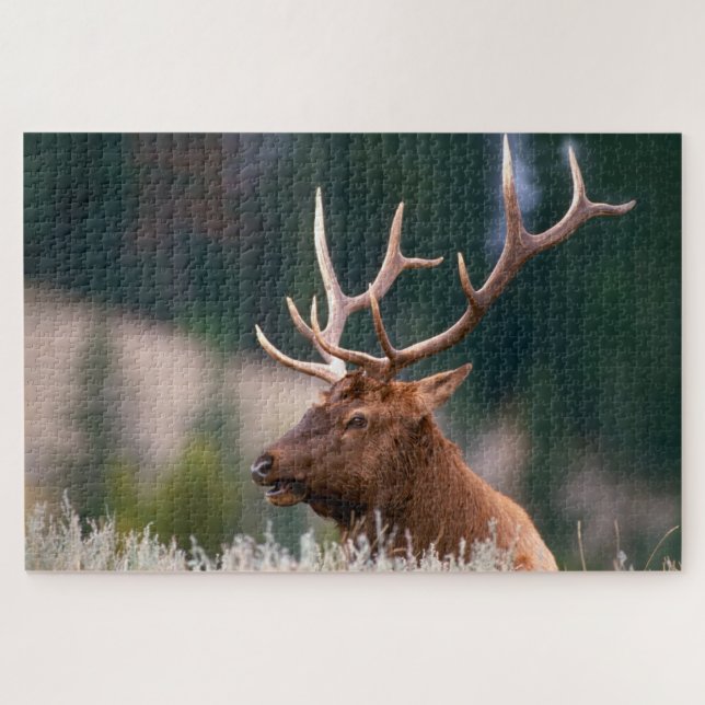 Rocky Mountain Elk Yellowstone National Park Jigsaw Puzzle (Horizontal)
