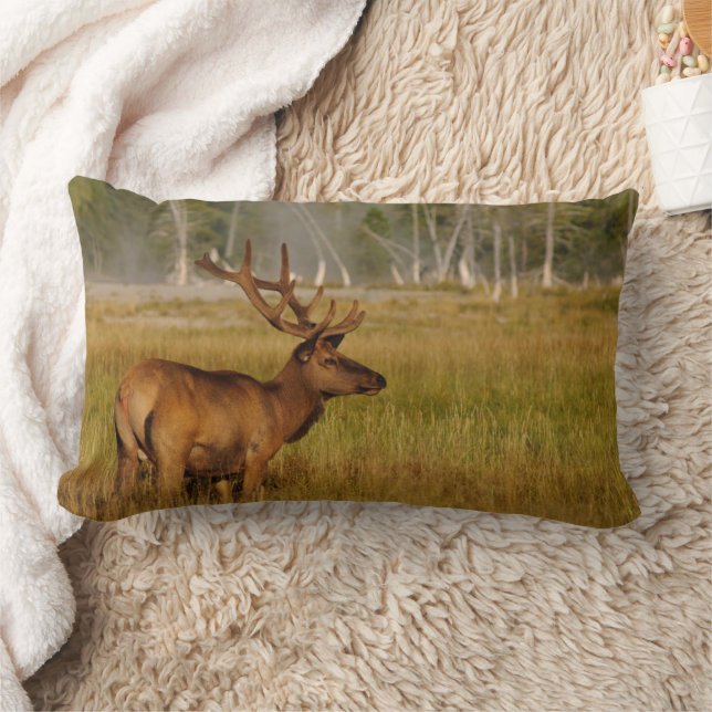 Rocky Mountain Elk | Yellowstone National Park Lumbar Pillow (Blanket)