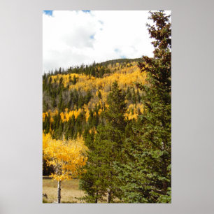 Rocky Mountain Fall Color Photo Nature Wall Poster