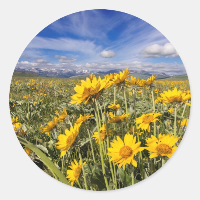 Rocky Mountain Front Range Classic Round Sticker (Front)