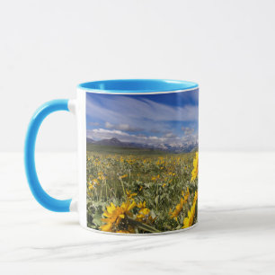 Rocky Mountain Front Range Mug