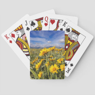 Rocky Mountain Front Range Playing Cards