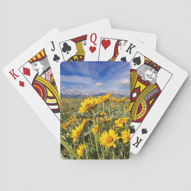 Rocky Mountain Front Range Playing Cards (Back)