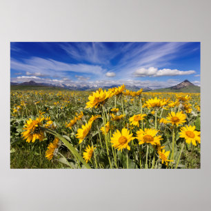 Rocky Mountain Front Range Poster