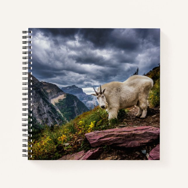 Rocky Mountain Goat Notebook (Front)