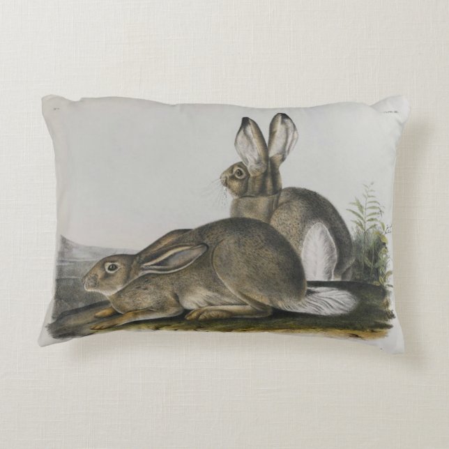 "Rocky Mountain Hare" by John James Audubon Accent Pillow (Back)