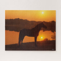 Rocky Mountain Horse Standing In Sunset