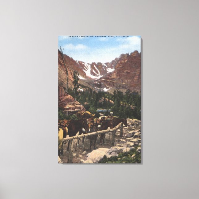Rocky Mountain National Park, CO Canvas Print (Front)