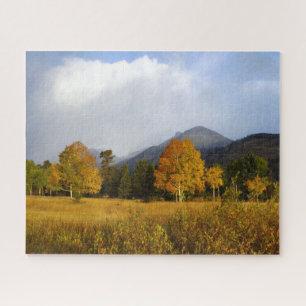 Rocky Mountain National Park Colorado Aspens  Jigsaw Puzzle