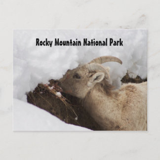 Rocky Mountain National Park Postcard