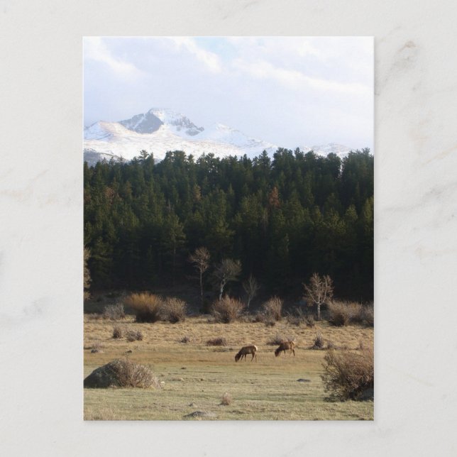 Rocky Mountain National Park Postcard (Front)