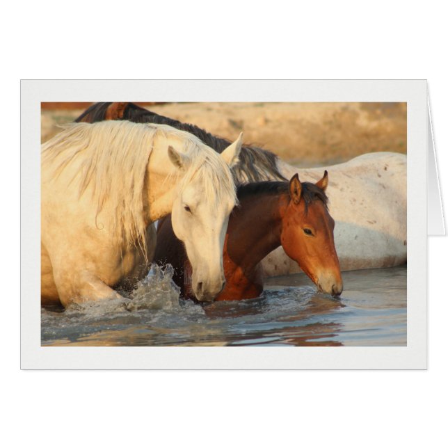 Rocky Mountain Wild Horse et sa carte de bébé (Devant horizontal)