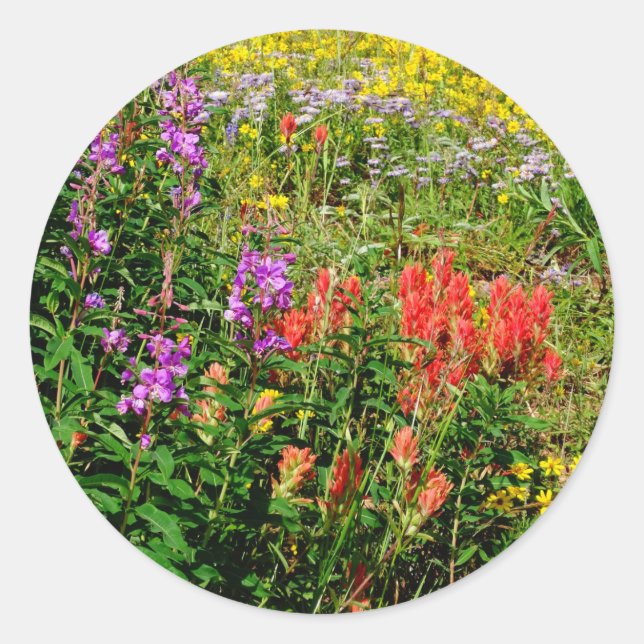 Rocky Mountain Wildflowers Classic Round Sticker (Front)