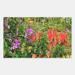 Rocky Mountain Wildflowers Sticker