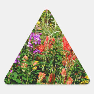 Rocky Mountain Wildflowers Triangle Sticker