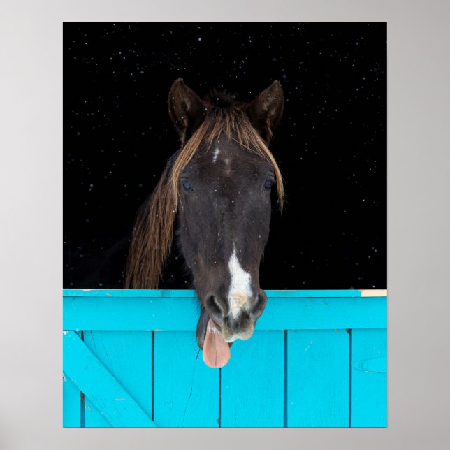 Rocky Mountain Yawn Poster (Front)