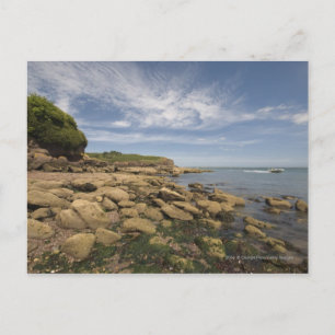 Rocky Seaside With Motorboat Travelling Postcard