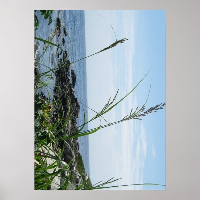 Rocky Shore Poster (Front)