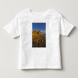 Rocky shoreline on Isla Carmen in the Gulf of Toddler T-shirt
