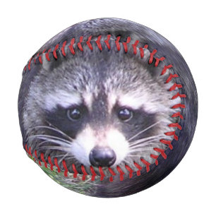 Rocky the Raccoon Baseball