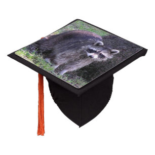 Rocky the Raccoon Graduation Cap Topper