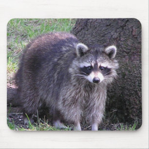 Rocky the Raccoon Mouse Pad