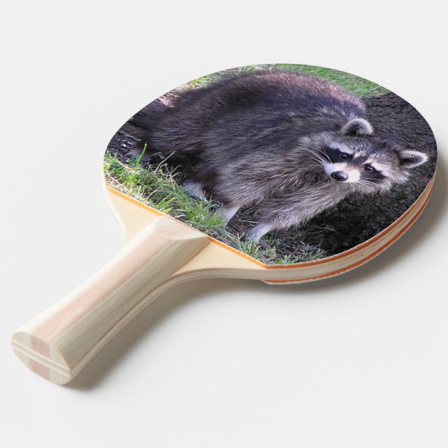 Rocky the Raccoon Ping Pong Paddle (Back Angle)