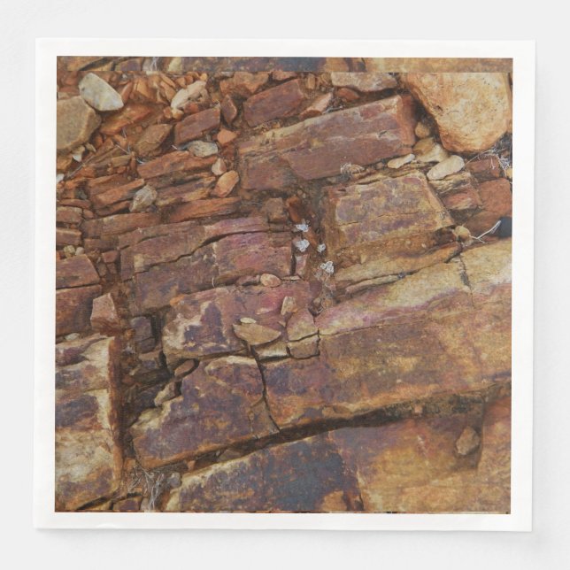 Rocky View Napkin (Front)