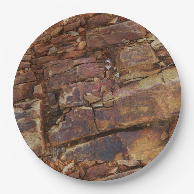 Rocky View Paper Plate (Front)