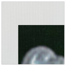 Rococo Frames | Dk Green Velvet |