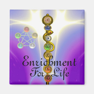 ROD OF ASCLEPIUS 7 CHAKRAS,YOGA ,SPIRITUAL ENERGY MAGNET