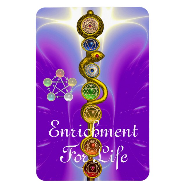 ROD OF ASCLEPIUS 7 CHAKRAS,YOGA ,SPIRITUAL ENERGY MAGNET (Vertical)