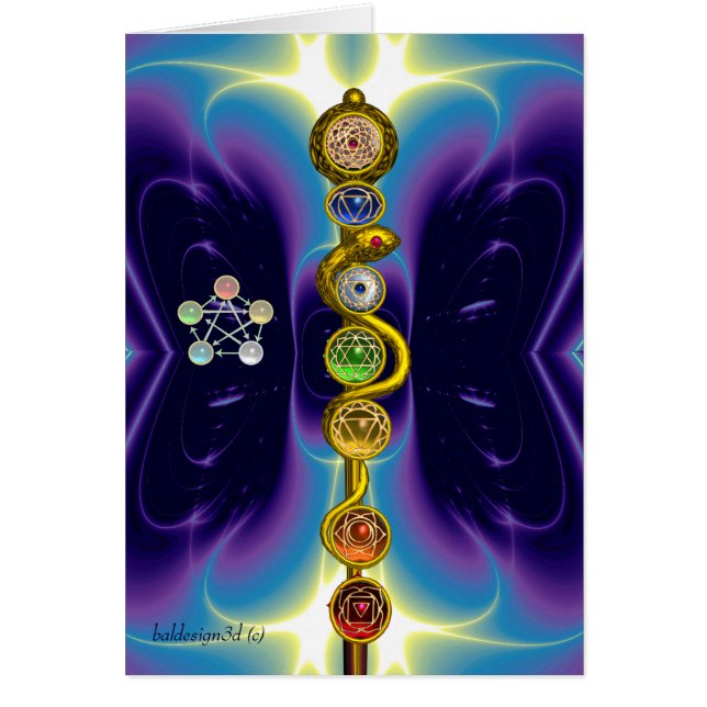RODE D'ASCLEPIUS 7 CHAKRAS, YOGA, ÉNERGIE SPIRITUE (Devant)