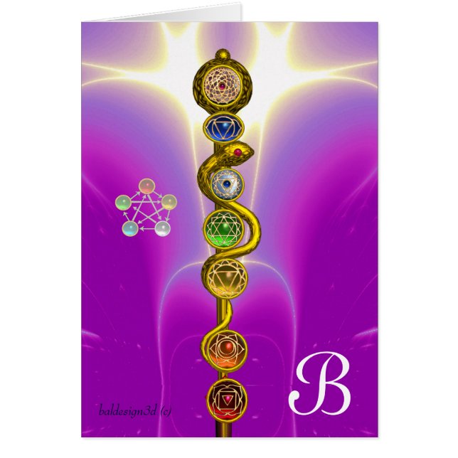 RODE D'ASCLEPIUS 7 CHAKRAS, YOGA, ÉNERGIE SPIRITUE (Devant)
