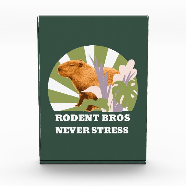 Rodent Bros Never Stress Capybara Photo Block (Front)