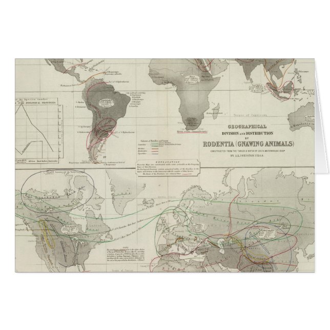 Rodentia, Ruminantia (Front Horizontal)