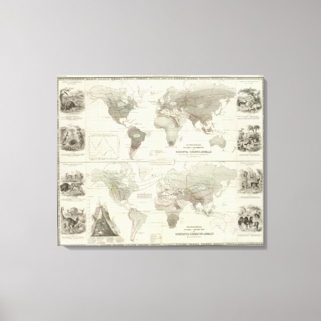 Rodentia, Ruminantia Canvas Print (Front)