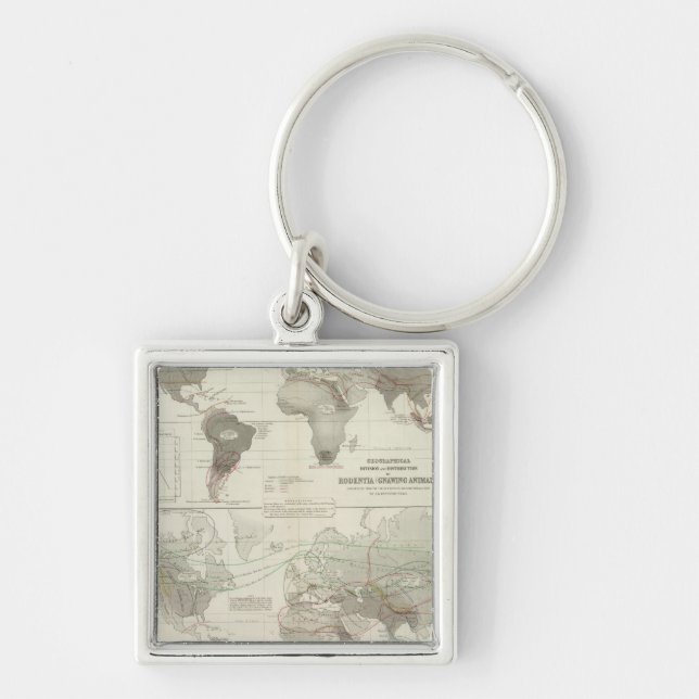Rodentia, Ruminantia Keychain (Front)