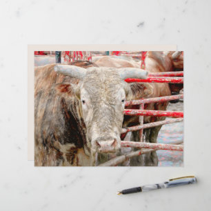 Rodeo Bull Rustic Country Western
