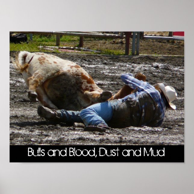 Rodeo Cowboy and Bull Mud Wrestling Poster (Front)