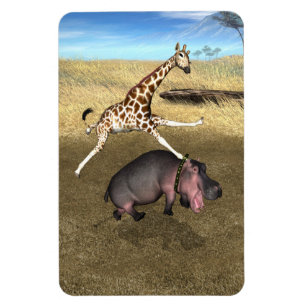 Rodeo Hippo Magnet