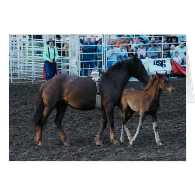 Rodeo Mare and Foal (Front Horizontal)